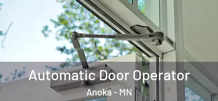 Automatic Door Operator Anoka - MN