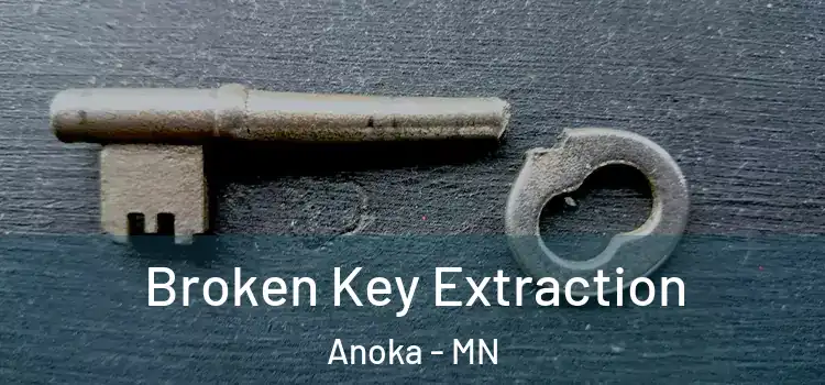  Broken Key Extraction Anoka - MN