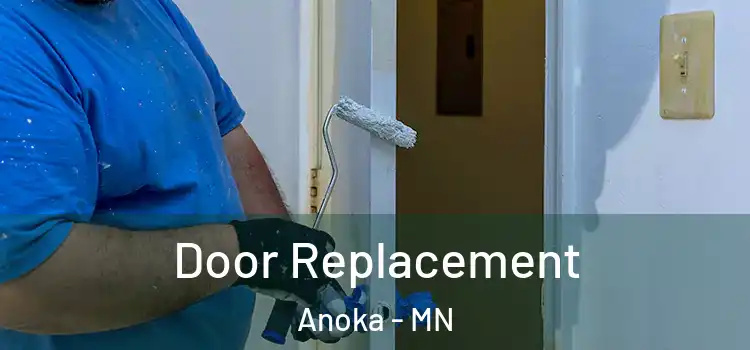  Door Replacement Anoka - MN
