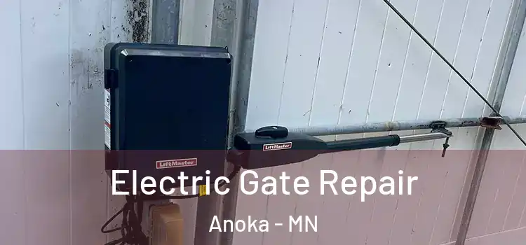 Electric Gate Repair Anoka - MN