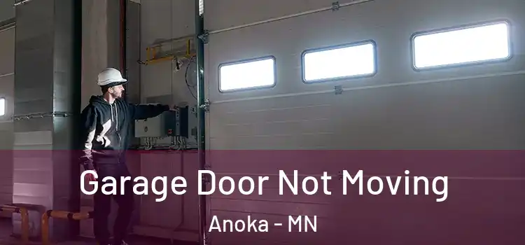  Garage Door Not Moving Anoka - MN