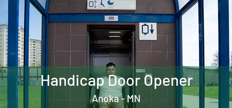  Handicap Door Opener Anoka - MN