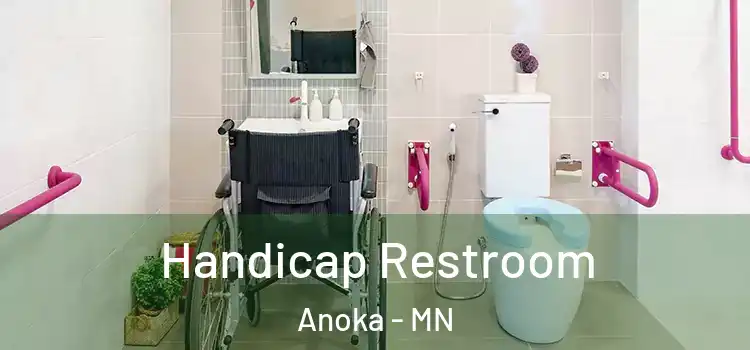  Handicap Restroom Anoka - MN