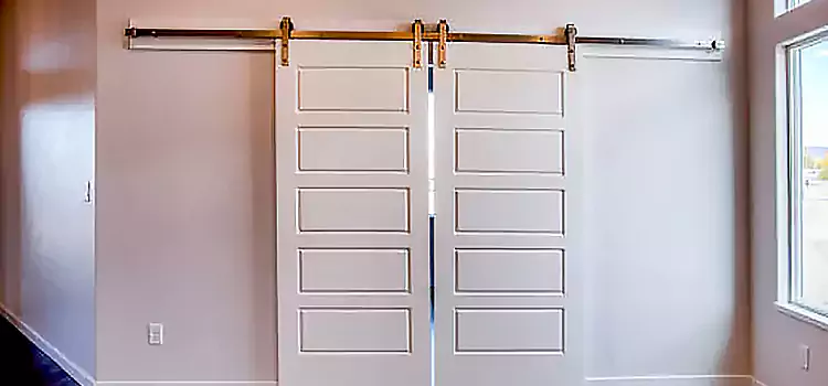 Glass Barn Door with Installation Hardware Kit Anoka