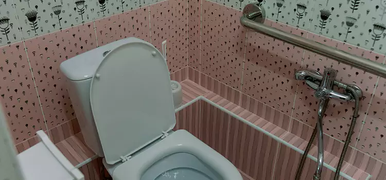 Meeting Diverse Needs With Accessible Restroom Solutions in Anoka, MN