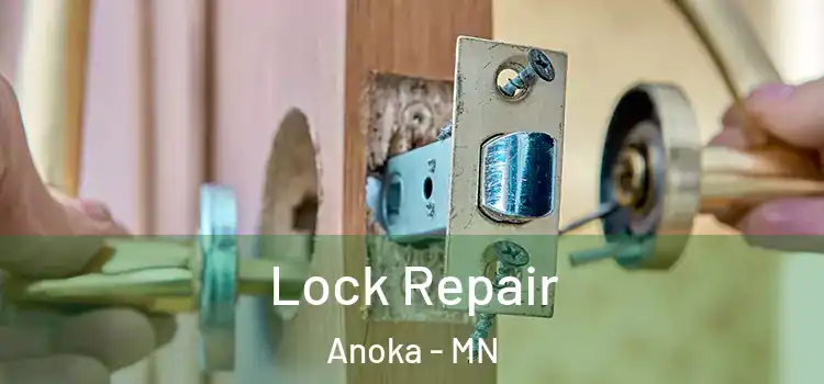  Lock Repair Anoka - MN