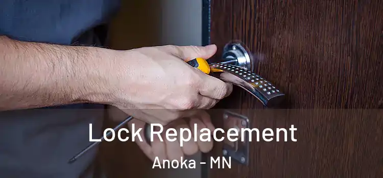 Lock Replacement Anoka - MN