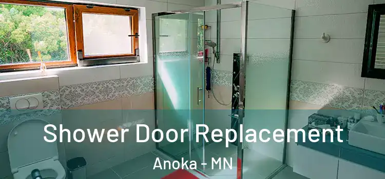  Shower Door Replacement Anoka - MN