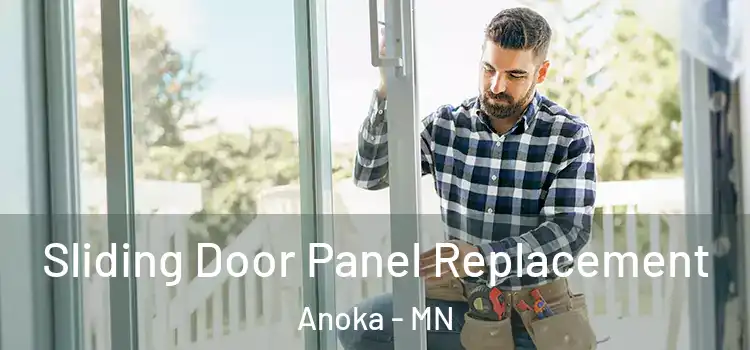  Sliding Door Panel Replacement Anoka - MN