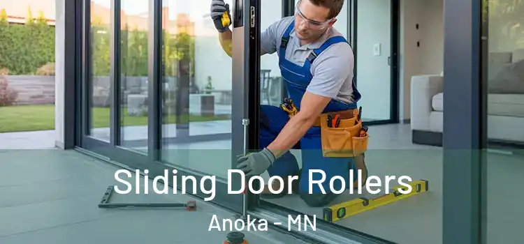  Sliding Door Rollers Anoka - MN